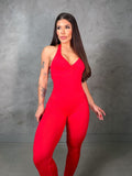 Entero red